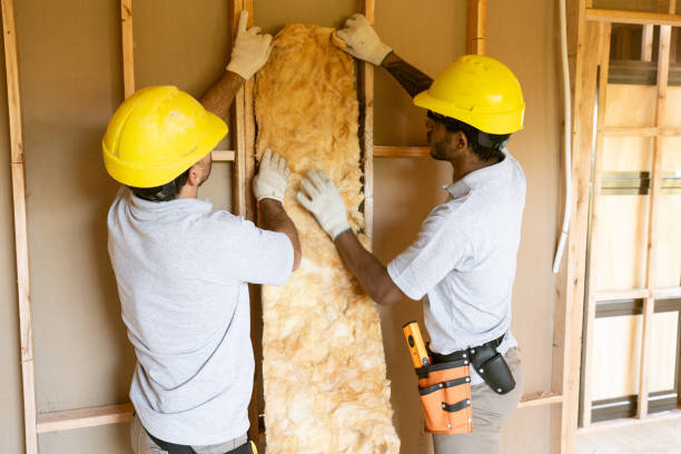 Best Eco-Friendly or Green Insulation Solutions  in Rehobeth, AL